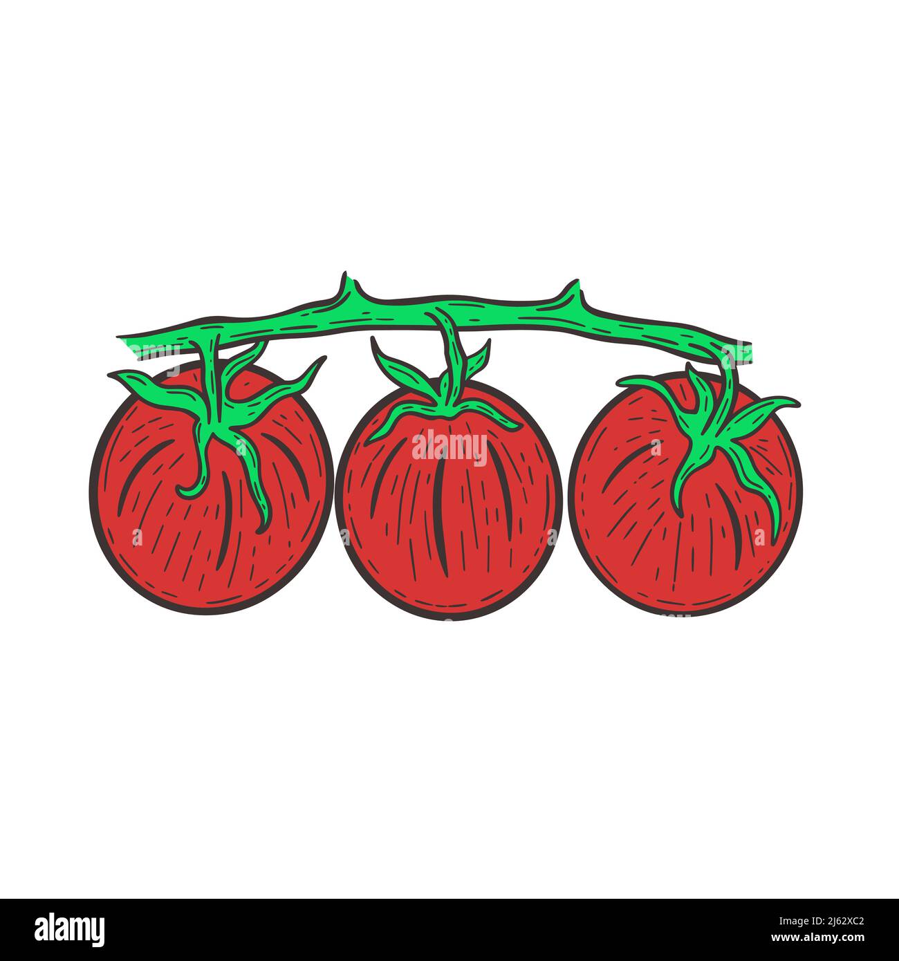 Three red tomatoes on branch isolated vector illustration Stock Vector ...