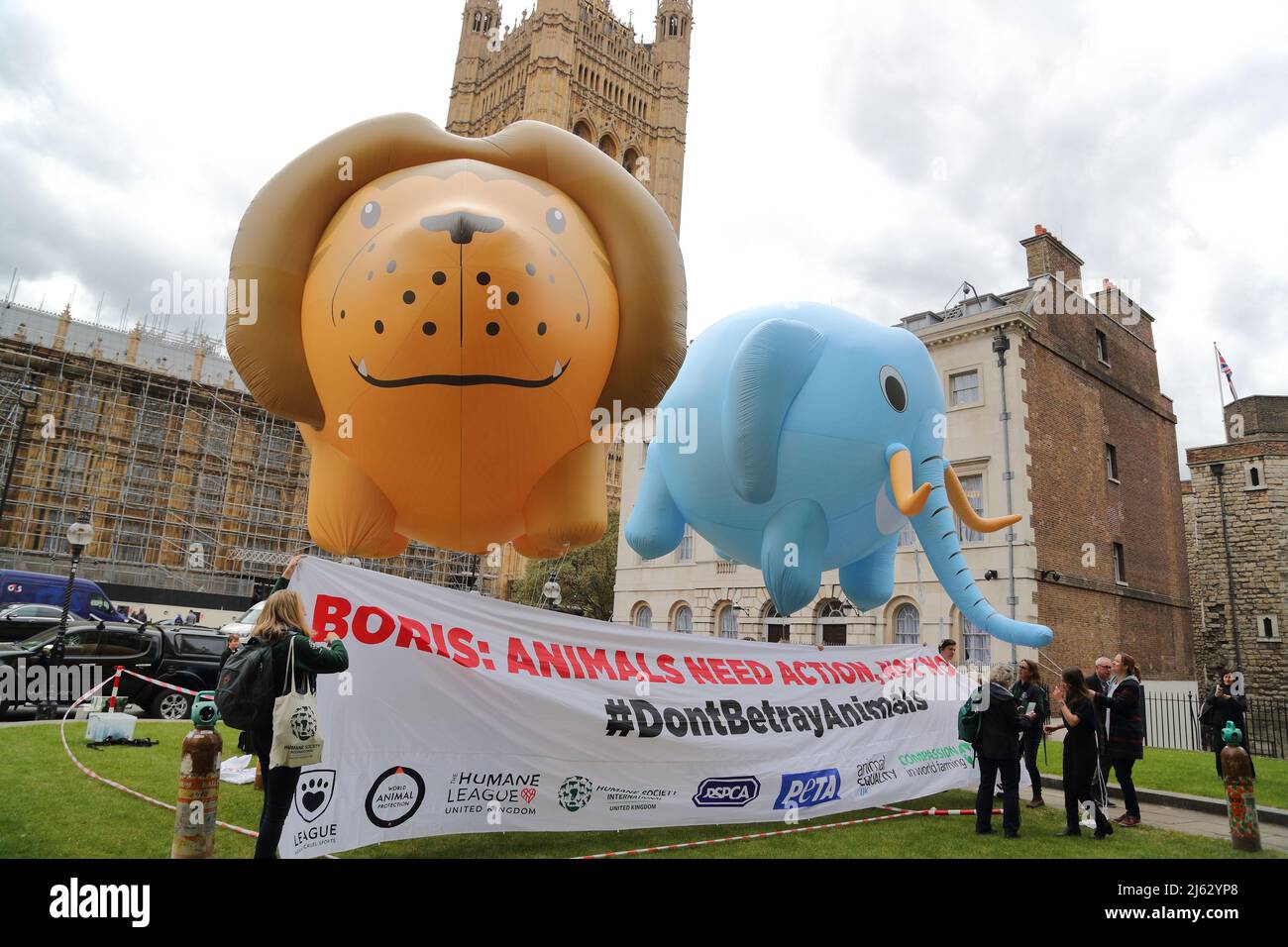 London, UK. 27th Apr, 2022. Animal welfare organisations gathered outside the Houses of Parliament flying huge lion and elephant balloons as the government is reported to drop the Animals Abroad Bill. The organisations are calling on the government to protect animals abroad. Credit: Uwe Deffner/Alamy Live News Stock Photo