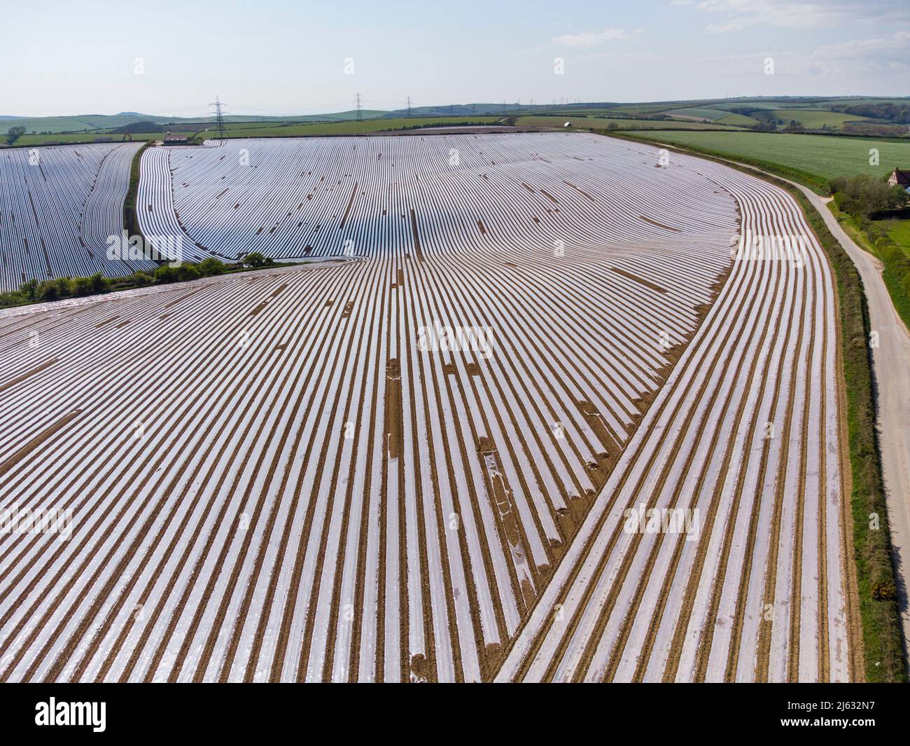 Winterbourne Abbas, Dorset, UK.  27th April 2022.  UK Weather.  General view from the air of fields covered in lines of plastic sheeting near Winterbourne Abbas in Dorset on a day of sunny spells.  The plastic is used on maize fields to promote quicker germination and growth of the crop.  Picture Credit: Graham Hunt/Alamy Live News Stock Photo
