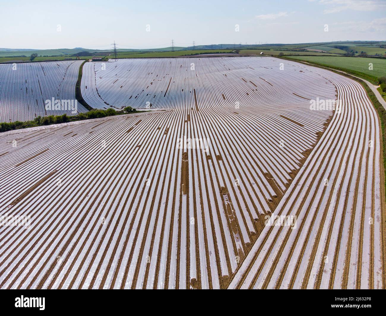 Winterbourne Abbas, Dorset, UK.  27th April 2022.  UK Weather.  General view from the air of fields covered in lines of plastic sheeting near Winterbourne Abbas in Dorset on a day of sunny spells.  The plastic is used on maize fields to promote quicker germination and growth of the crop.  Picture Credit: Graham Hunt/Alamy Live News Stock Photo