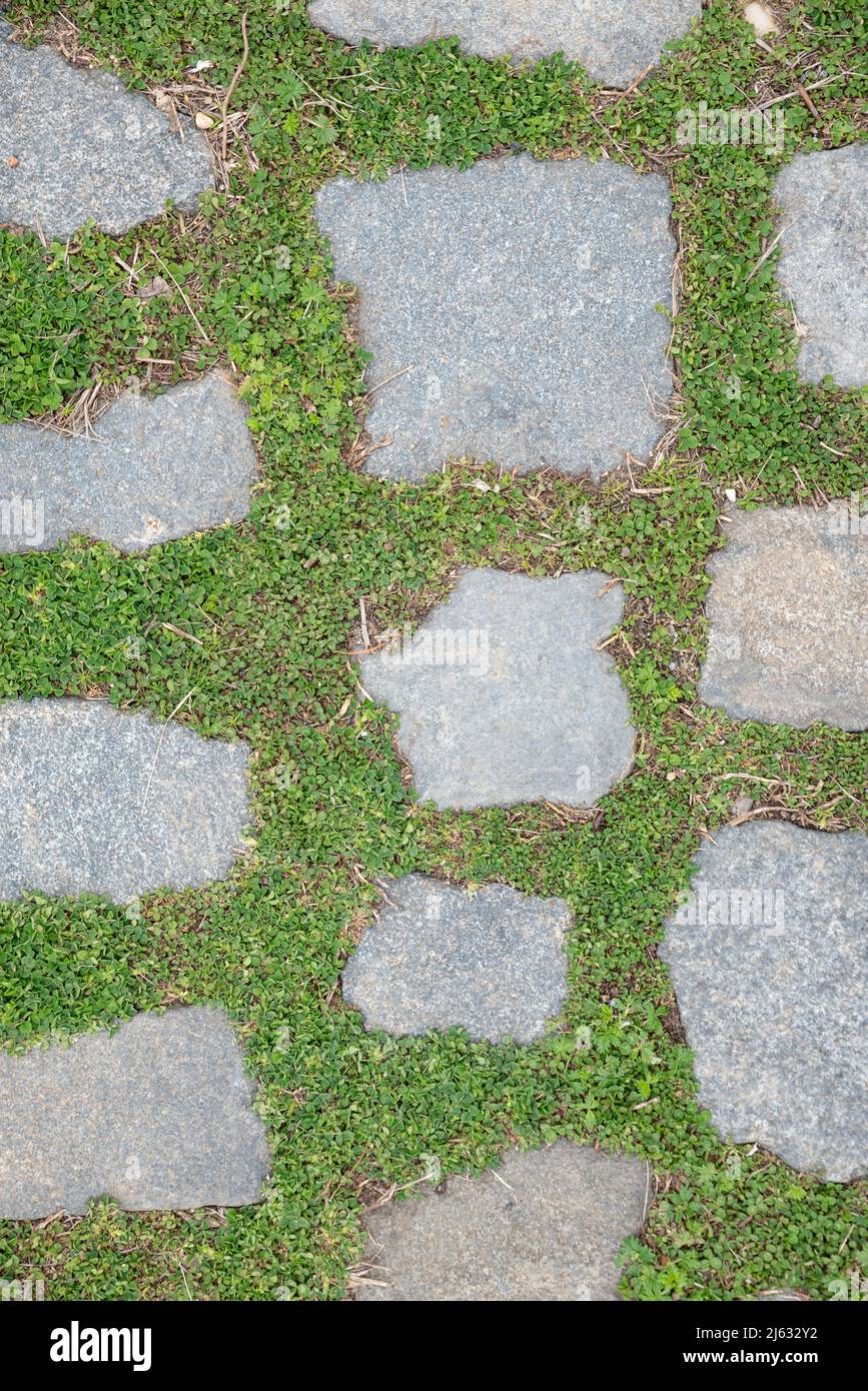 Stone and grass walkway on Long Island north shore, New York Stock Photo