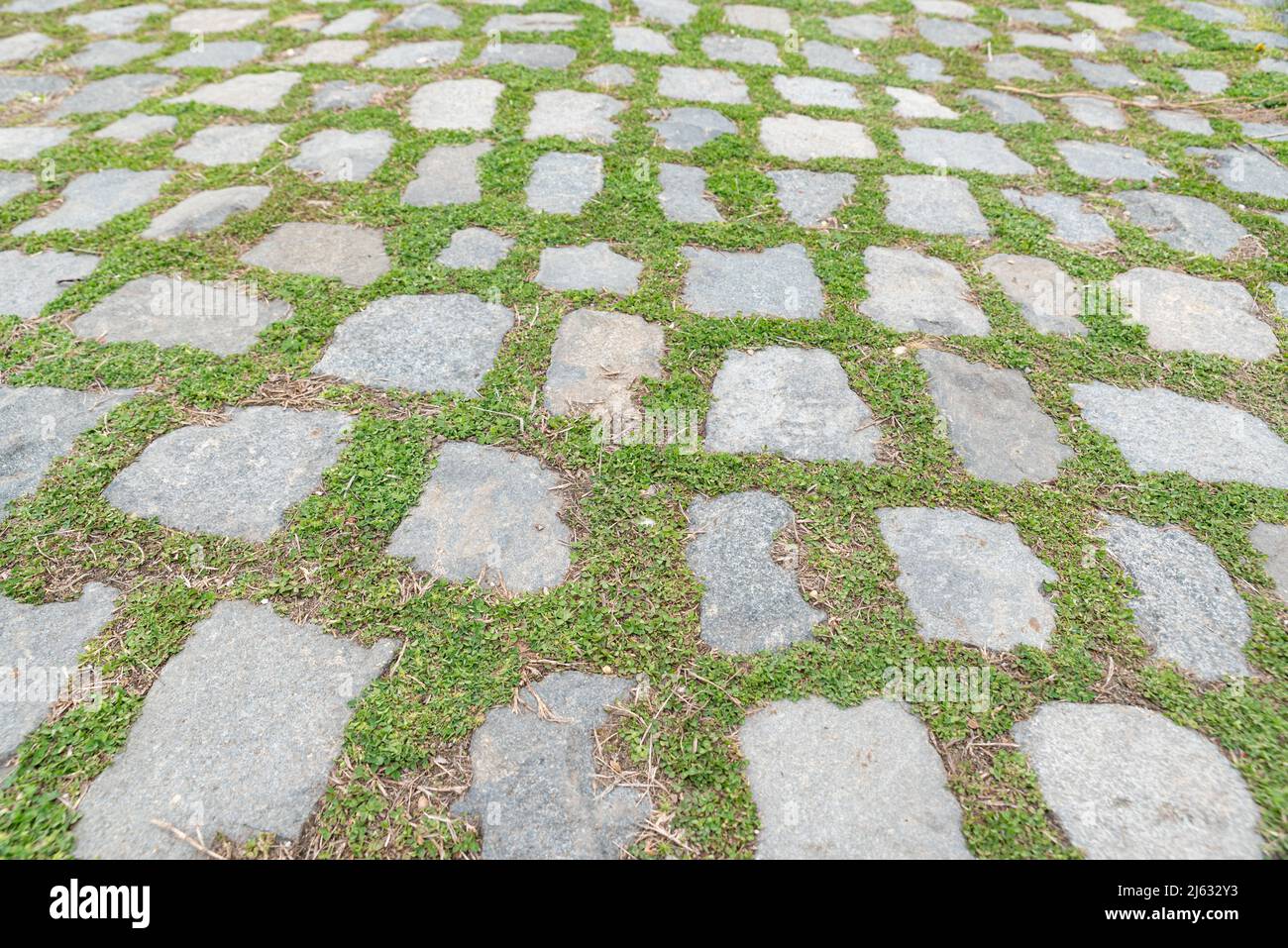 Stone and grass walkway on Long Island north shore, New York Stock Photo