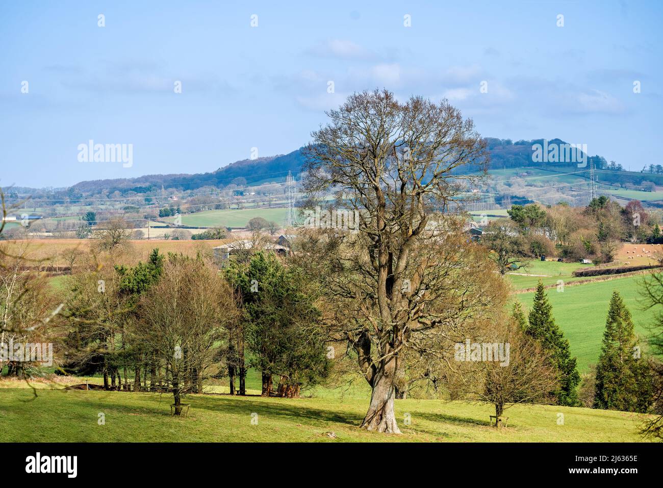 East Devon countryside Stock Photo