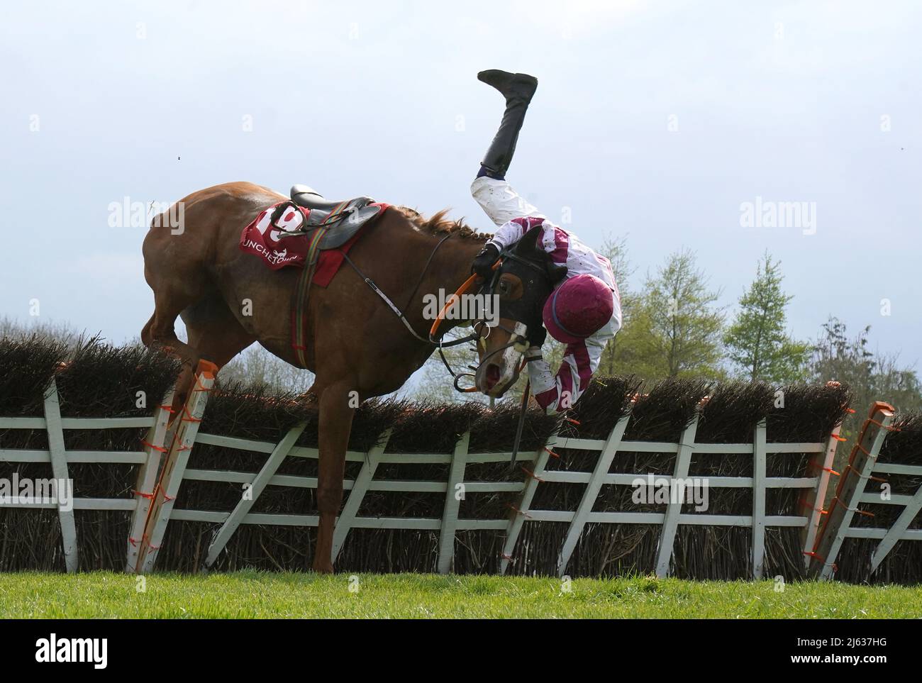 Jockey Shane O'Callaghan comes off Lucky Tenner at the last hurdle in the Adare Manor Opportunity Series Final Handicap Hurdle during day two of the Punchestown Festival at Punchestown Racecourse in County Kildare, Ireland. Picture date: Wednesday April 27, 2022. Stock Photo
