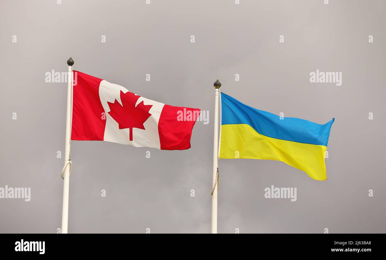 Canada and Ukraine national flags waving in wind against cloudy sky. Ukrainian and Canadian Flag Stock Photo