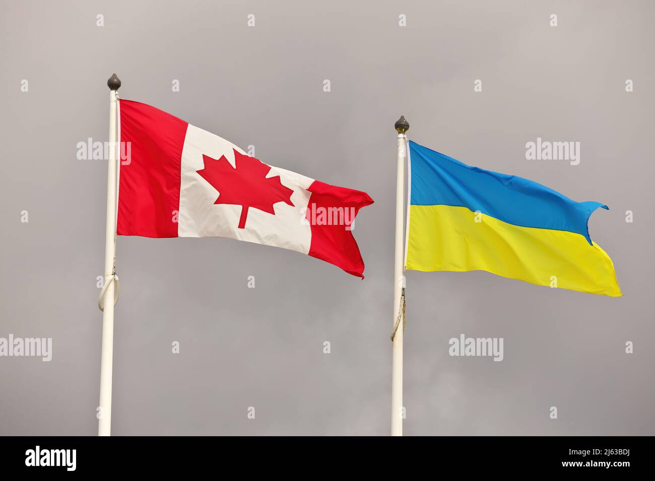 Canada and Ukraine national flags waving in wind against cloudy sky ...