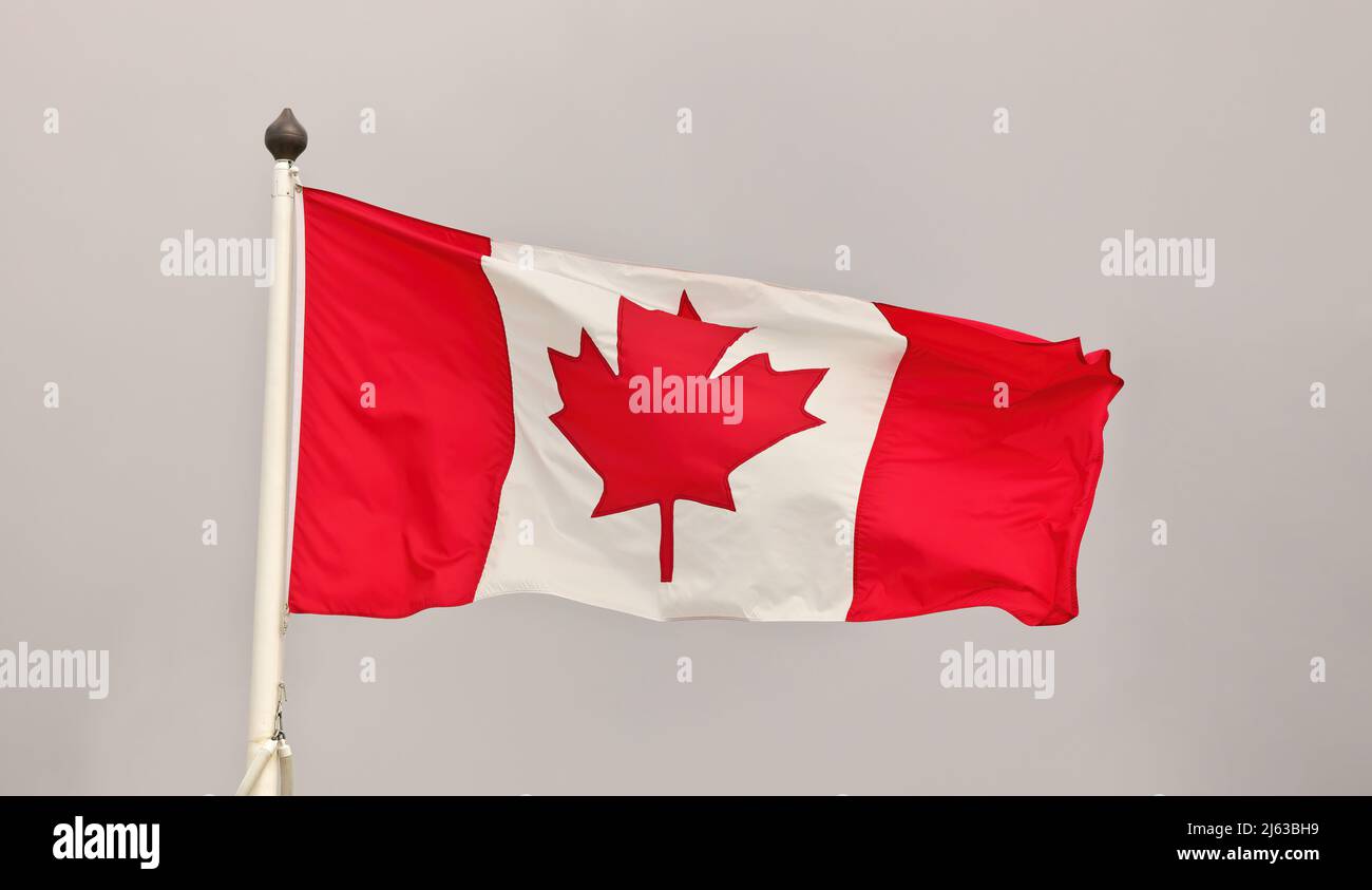 Canadian Flag of Canada Waving and Flapping in the Wind on a Cloudy Grey Sky Background Stock Photo