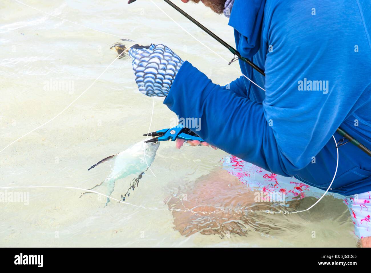 Fisherman unhook a palometa fish Stock Photo