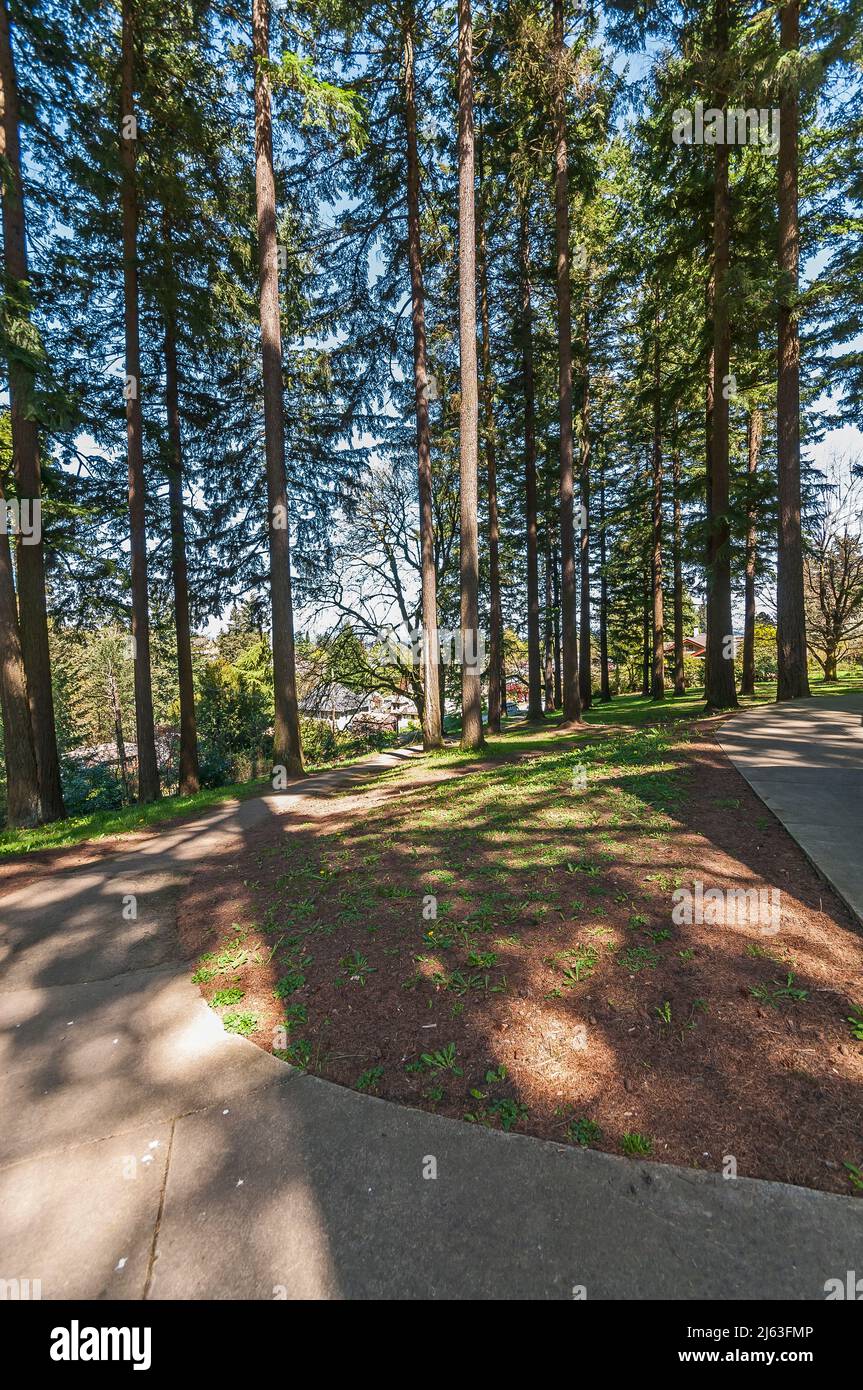 Mt Tabor Park in Portland Oregon Stock Photo Alamy Mt Tabor Park in Portland Oregon Stock Photo Alamy