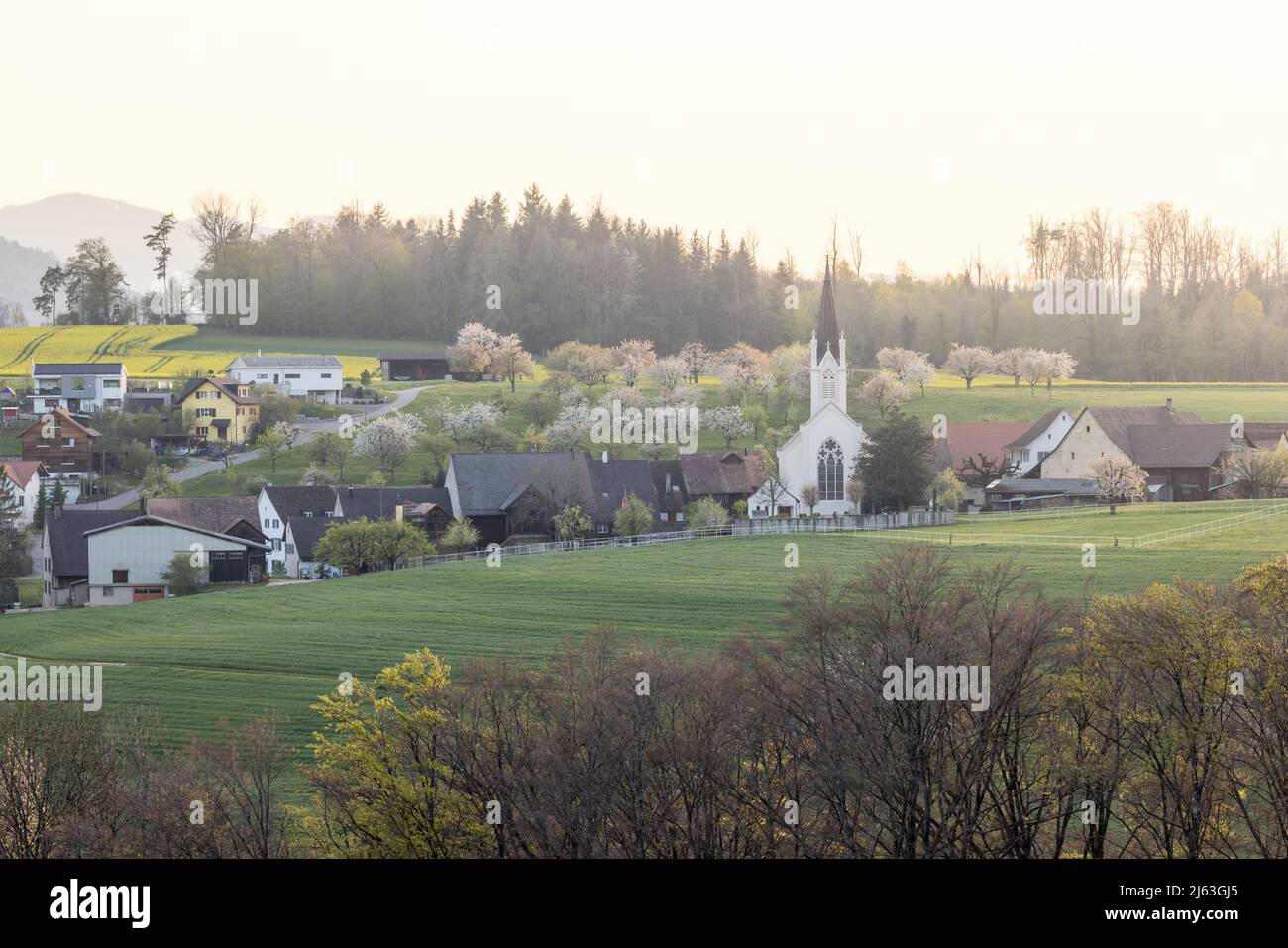 village of Oltingen with church in spring in Baselland Stock Photo