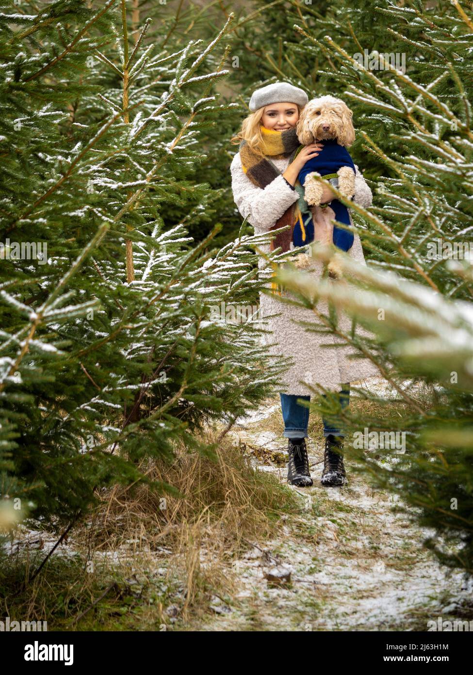 Young blonde haired woman holding a dog standing amongst snow covered Christmas trees. Stock Photo
