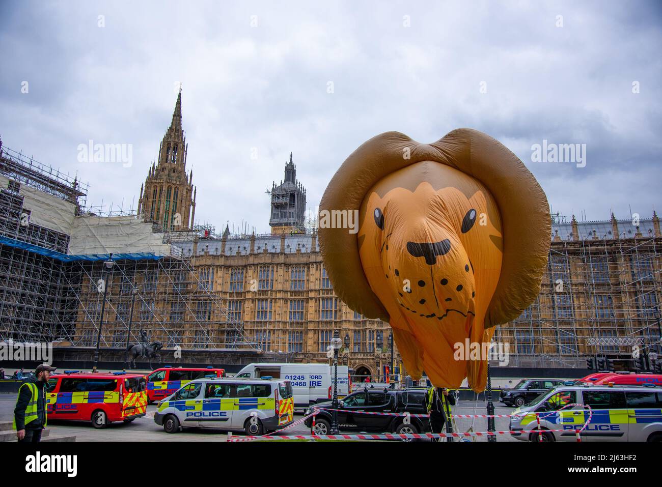 London, UK. 27th Apr, 2022. An inflatable lion displayed during the Don't Betray Animals demonstration in Old Palace Yard. A demonstration was organised by Save The Asian Elephants (STAE) at the Old Palace Yard in London. STAE is a team of conservationists, lawyers and campaigners dedicated to saving the Asian elephant who are trying to pass a bill to stop the tourism abuse on animals. Credit: SOPA Images Limited/Alamy Live News Stock Photo