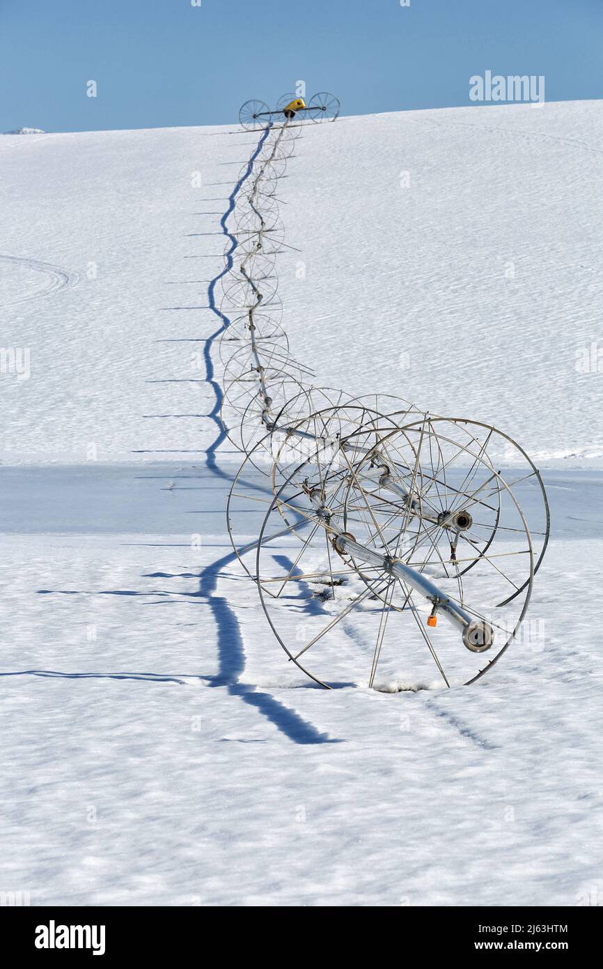 A wheel line sprinkler in a farm field, during winter with snow on the ground. Stock Photo