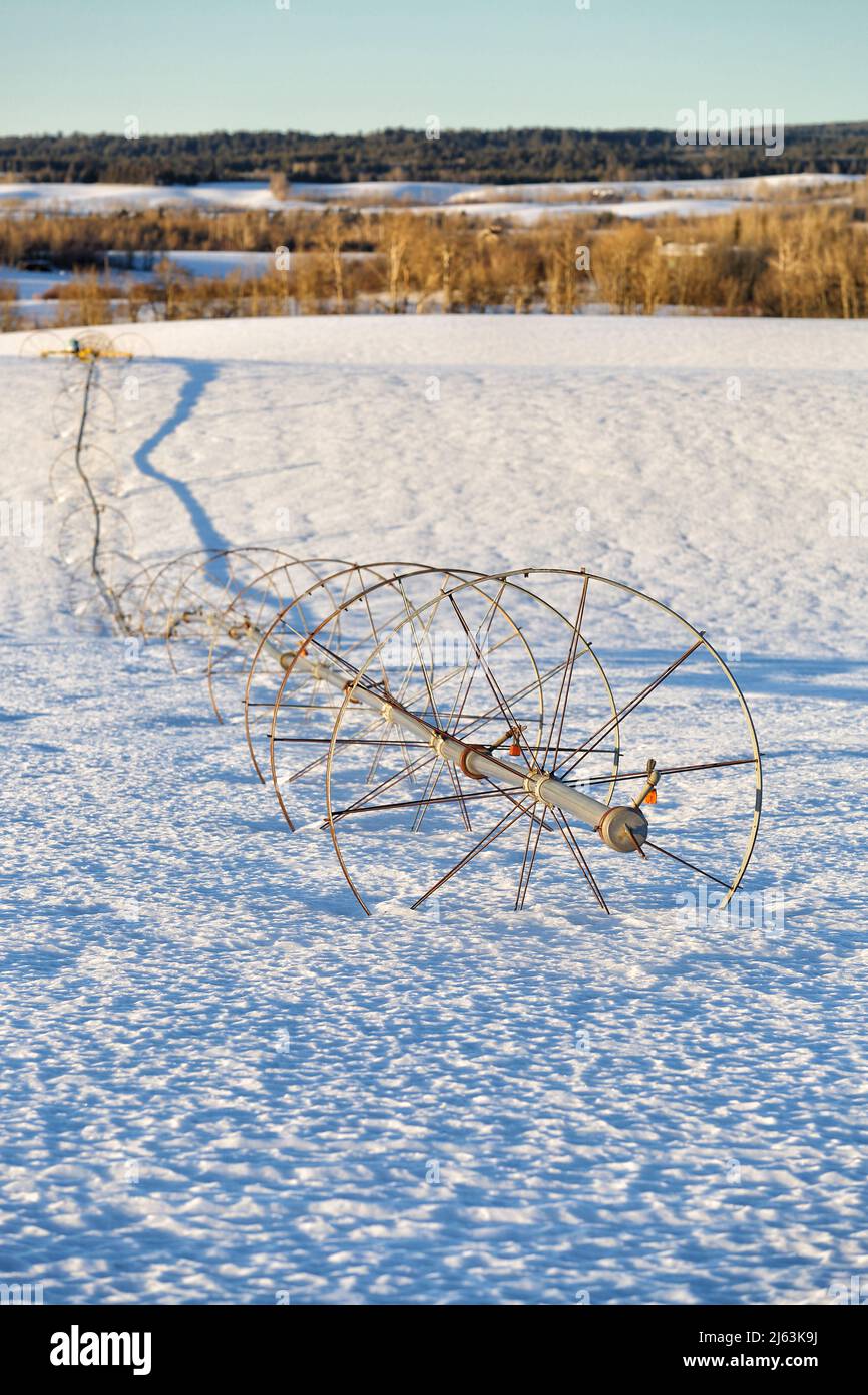 A wheel line sprinkler in a farm field, during winter with snow on the ground. Stock Photo
