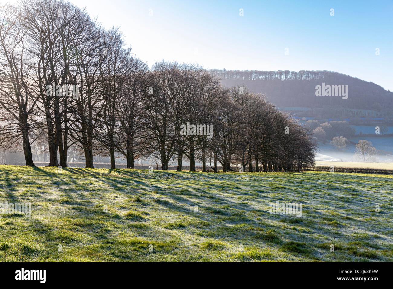 Winter morning mist and frost near the Cotswold village of Sheepscombe, Gloucestershire, England UK Stock Photo