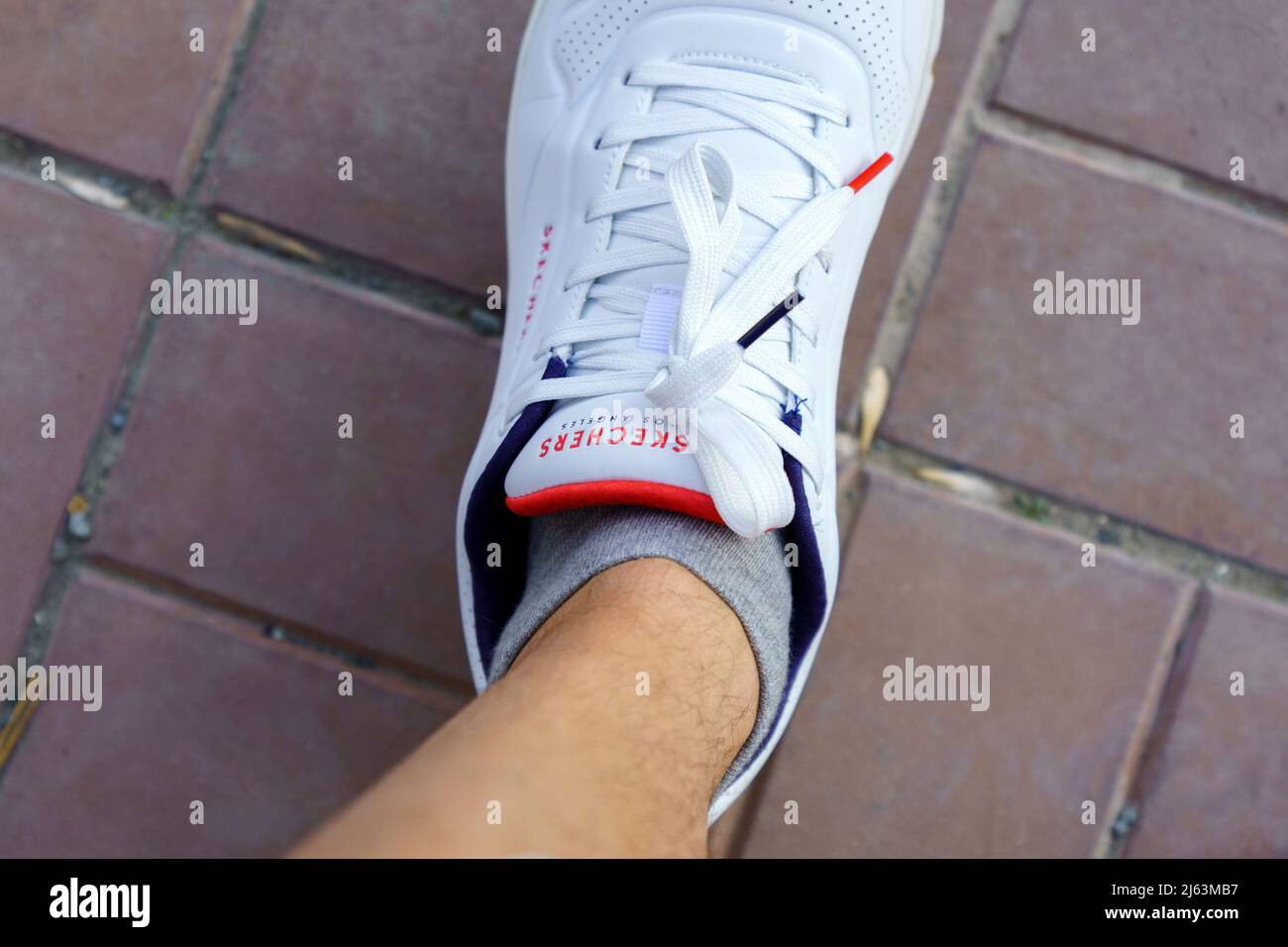 Tyumen, Russia-April 27, 2022: Skechers logo sport shoes for men, Los  Angeles. Selective focus Stock Photo - Alamy