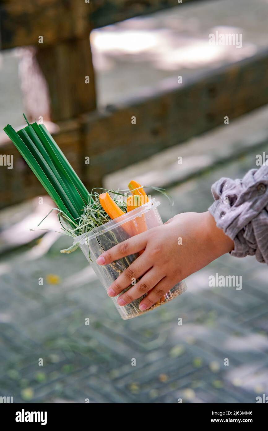 Variety of Animal foods for feeding in a bucket. A trip to the petting