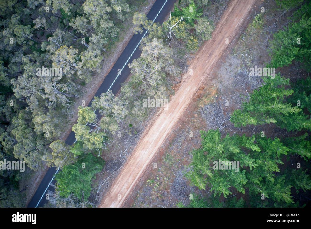 Drone field of view of pine forest and roads forming patterns in nature in Western Australia. Stock Photo