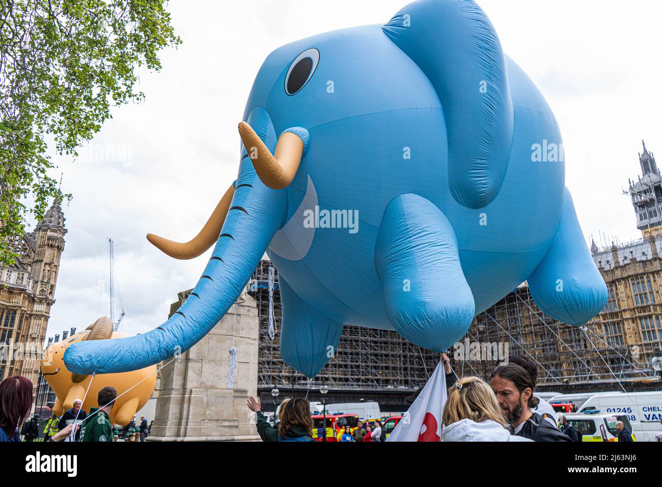 London UK, 27 April 2022. A giant elephant and lion balloon is floated at  Parliament organized by (PETA) People for the Ethical Treatment of Animals  in the wake of reports that the