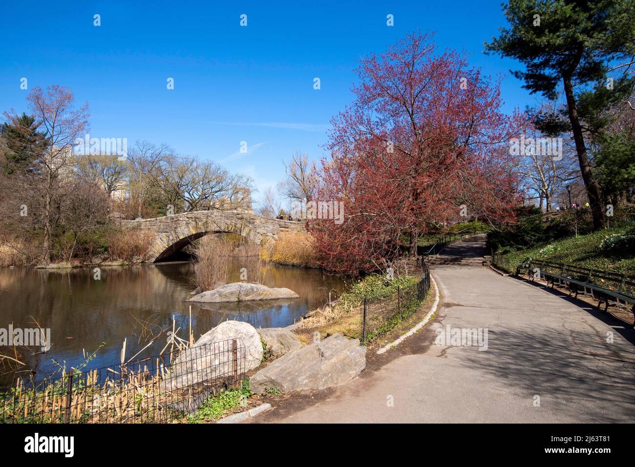 The Pond and Gapstow Bridge in Central Park in Manhattan New York City