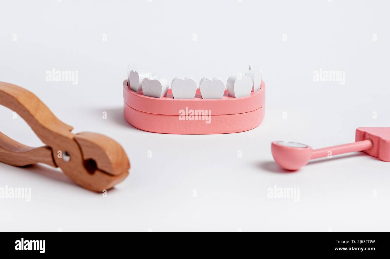 Wooden jaw model with dental forceps and mirror. Dentist instruments