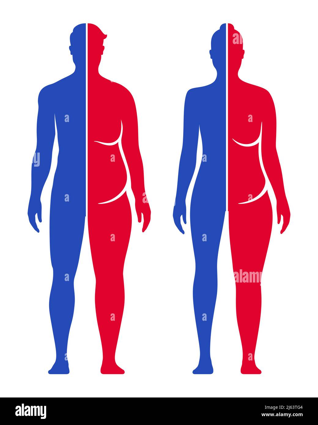 Weight loss and body improvement conceptual vector illustration. Man and woman fit and fat body shape comparison. Stock Vector