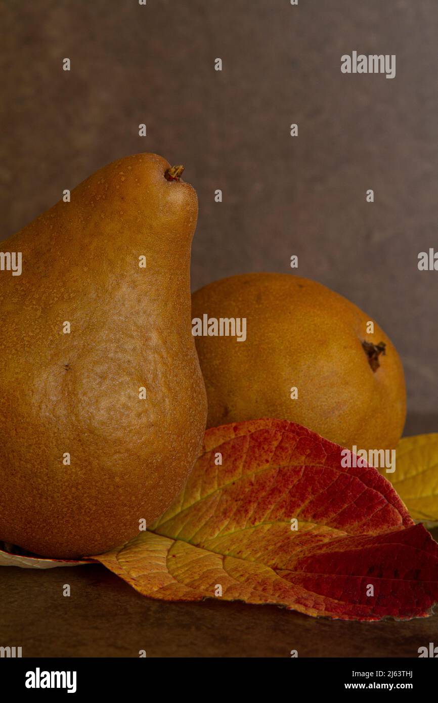 Still life of two ripe pears and colorful autumn leaves against a background with brown tones, perfect for wall art or a book cover. Stock Photo