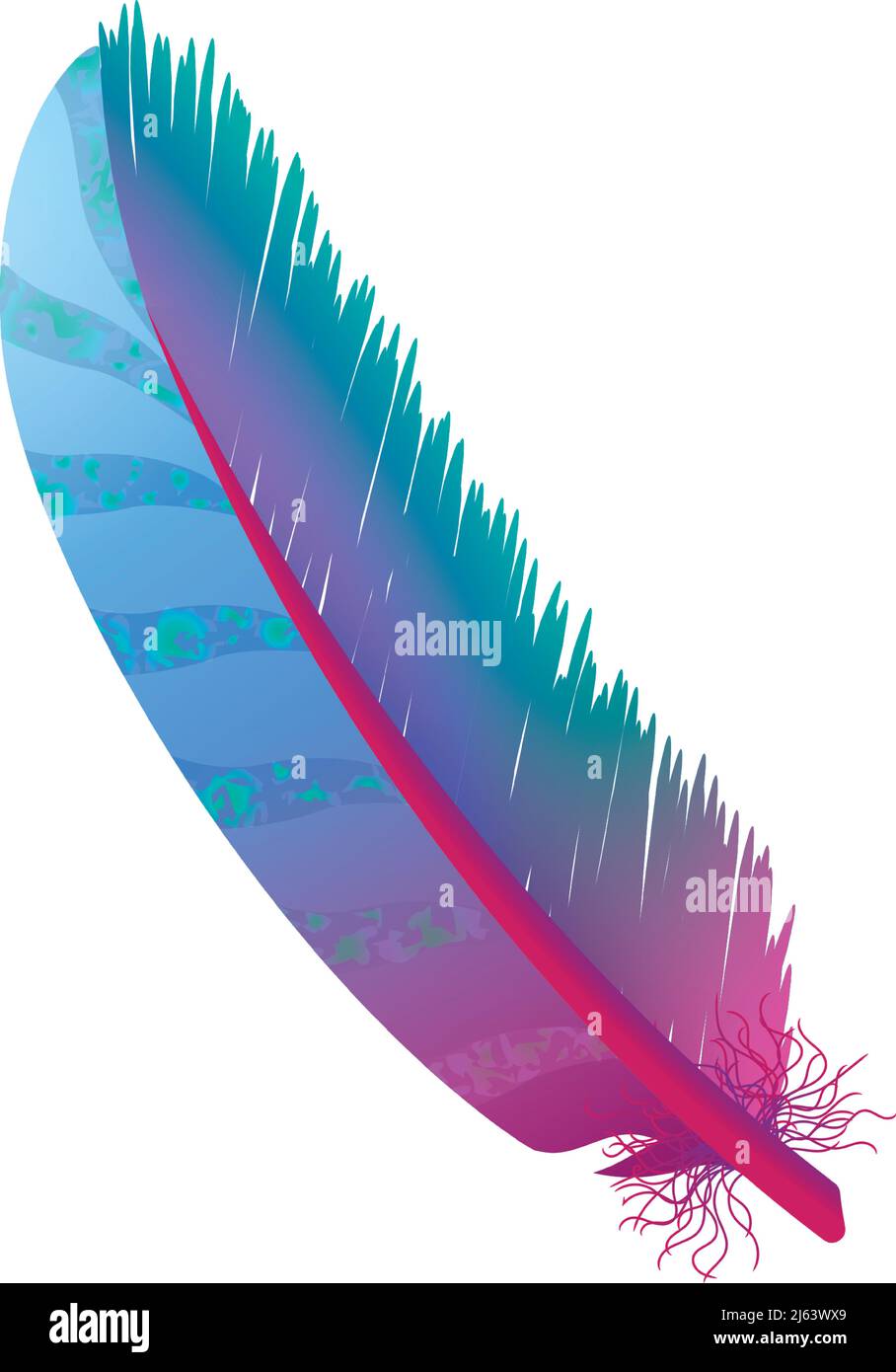 Colorful realistic feather. Decorative tribal bird tail Stock Vector