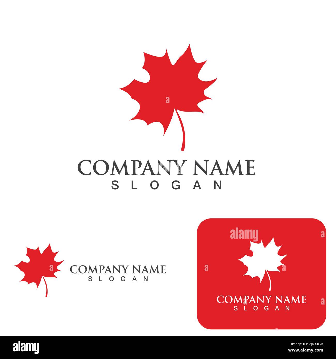 Maple leaf vector illustration design template Stock Vector Image & Art ...