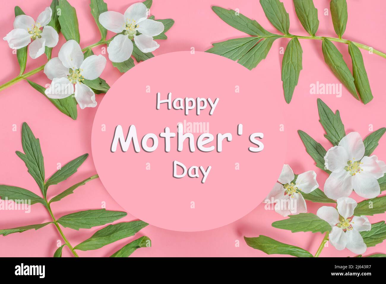Happy Mother's Day lettering on a pink circle with a frame of ...