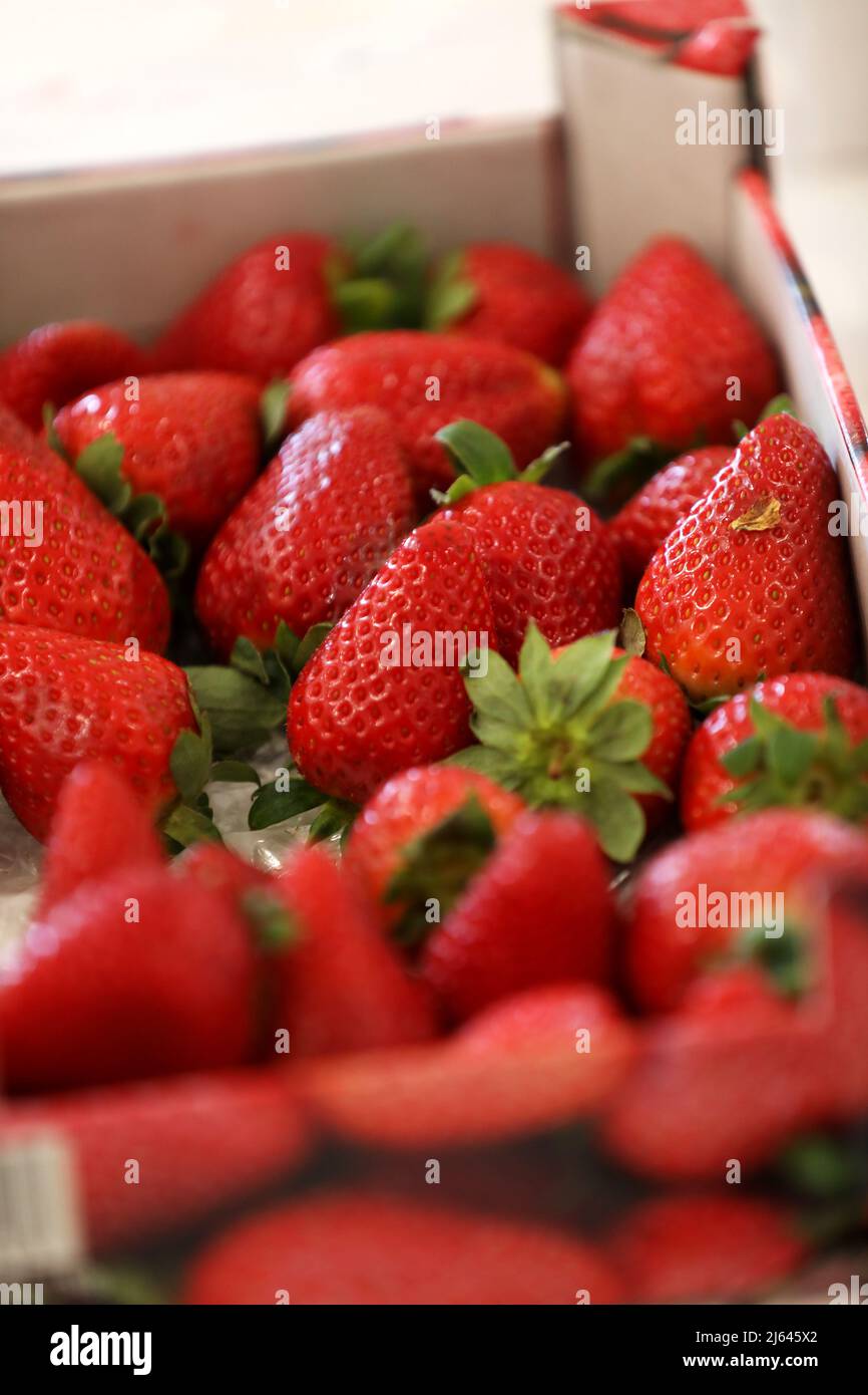 Tasty strawberries pictured in boxes in West Sussex, UK. Stock Photo