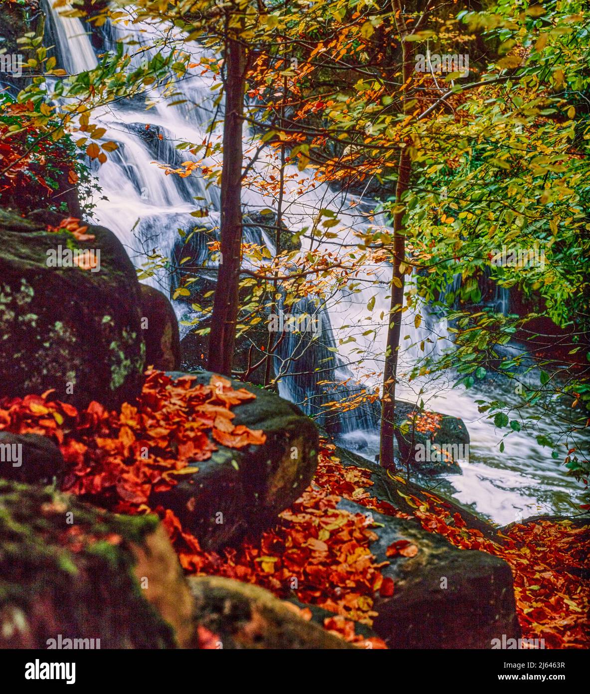 Waterfall at Virginia Water, Stock Photo