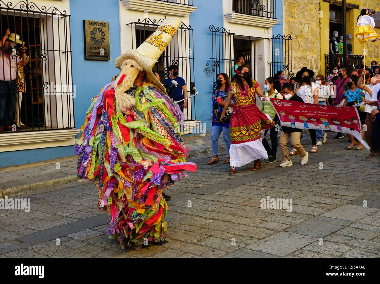 monos-de-calenda-hi-res-stock-photography-and-images-alamy