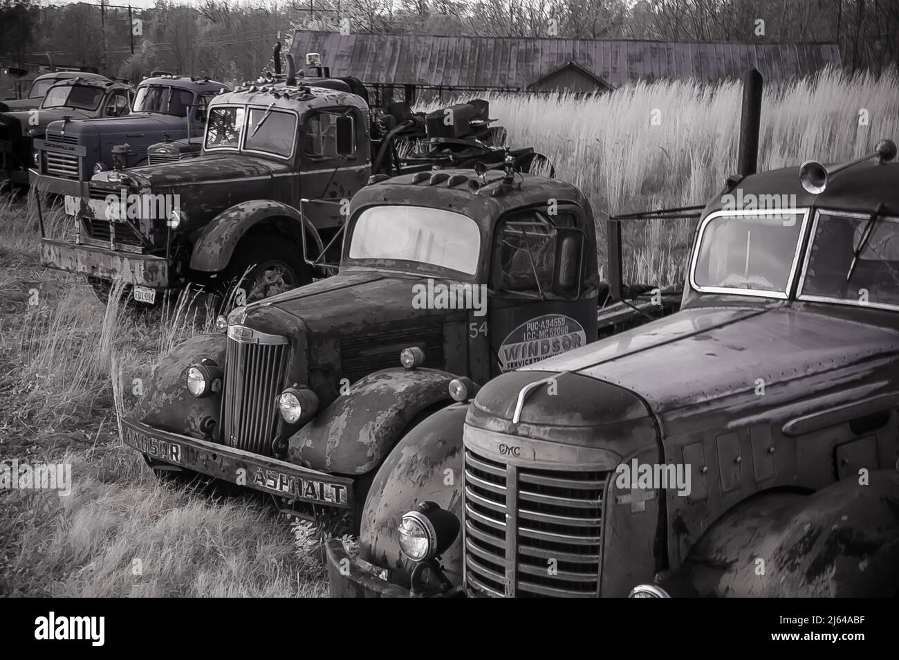 A collection of old abandoned trucks sit in a field of grass Stock Photo