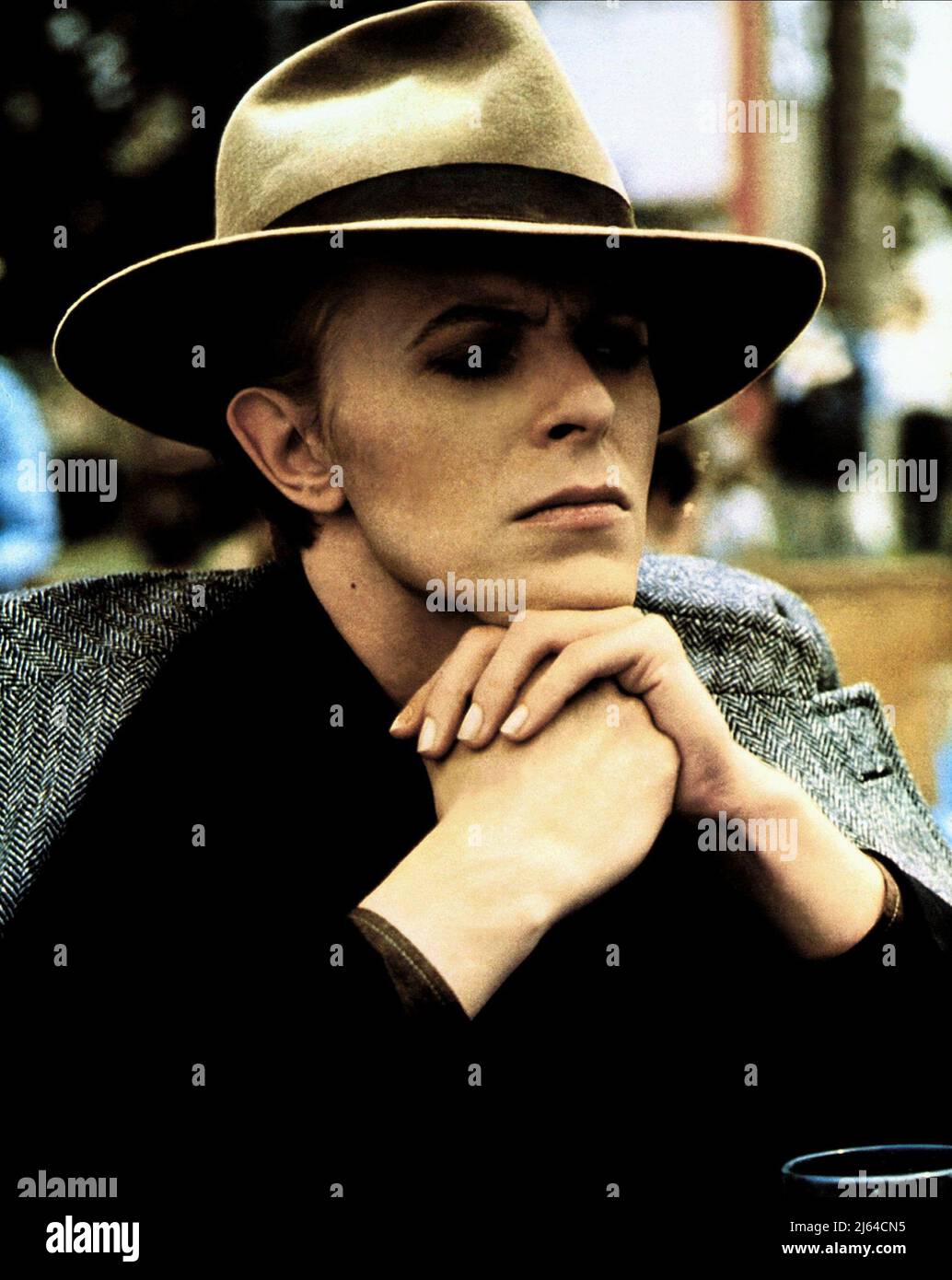 David bowie on sale hat