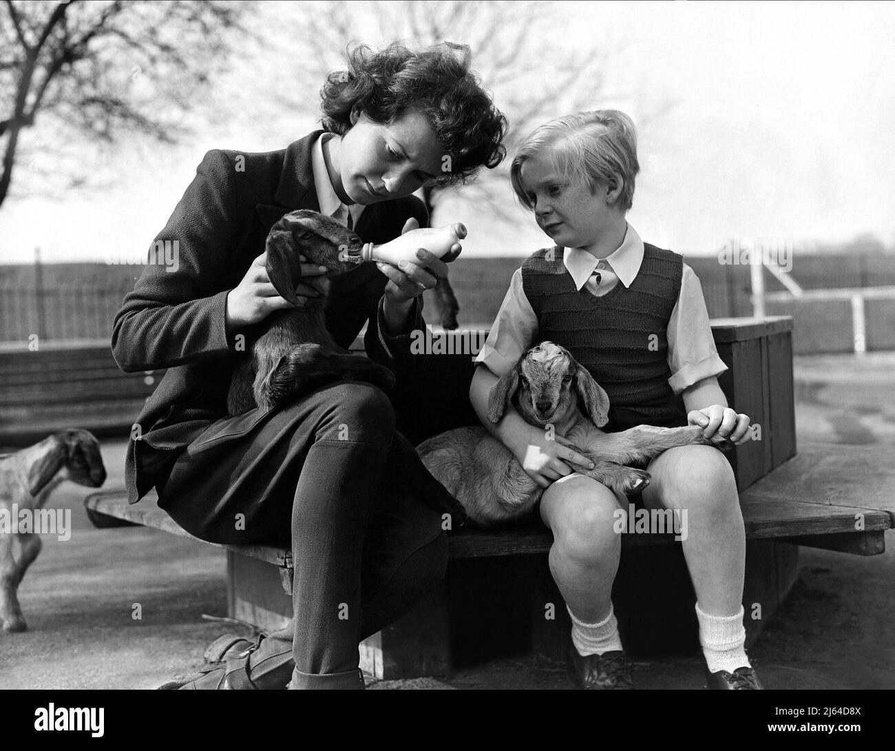 BOBBY HENREY, THE FALLEN IDOL, 1948 Stock Photo