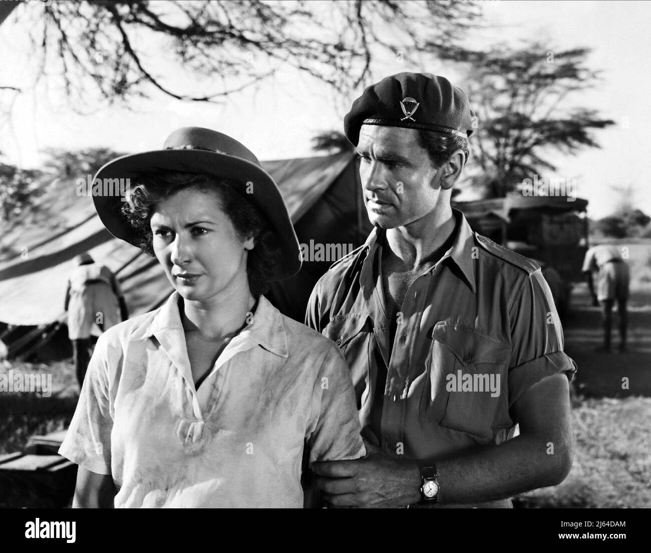 Quand les vautours ne volent plus hires stock photography and images