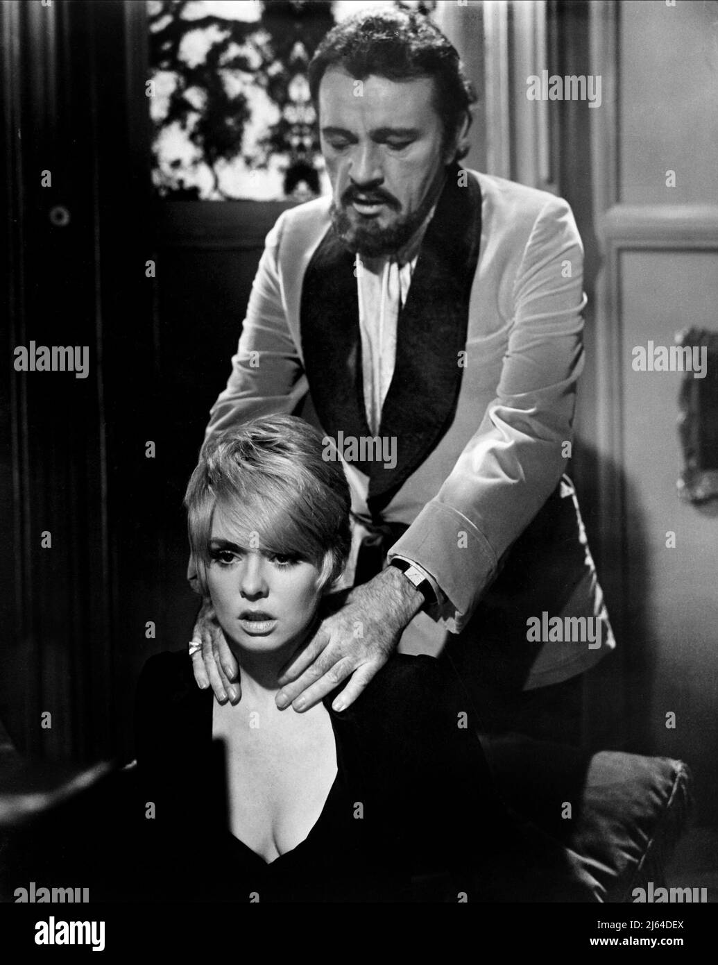 Joey heatherton hires stock photography and images Alamy