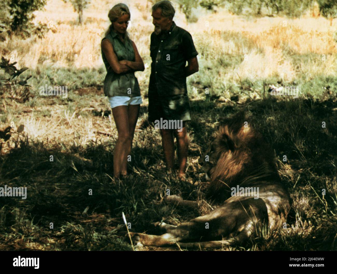 MCKENNA,ADAMSON, AN ELEPHANT CALLED SLOWLY, 1971 Stock Photo
