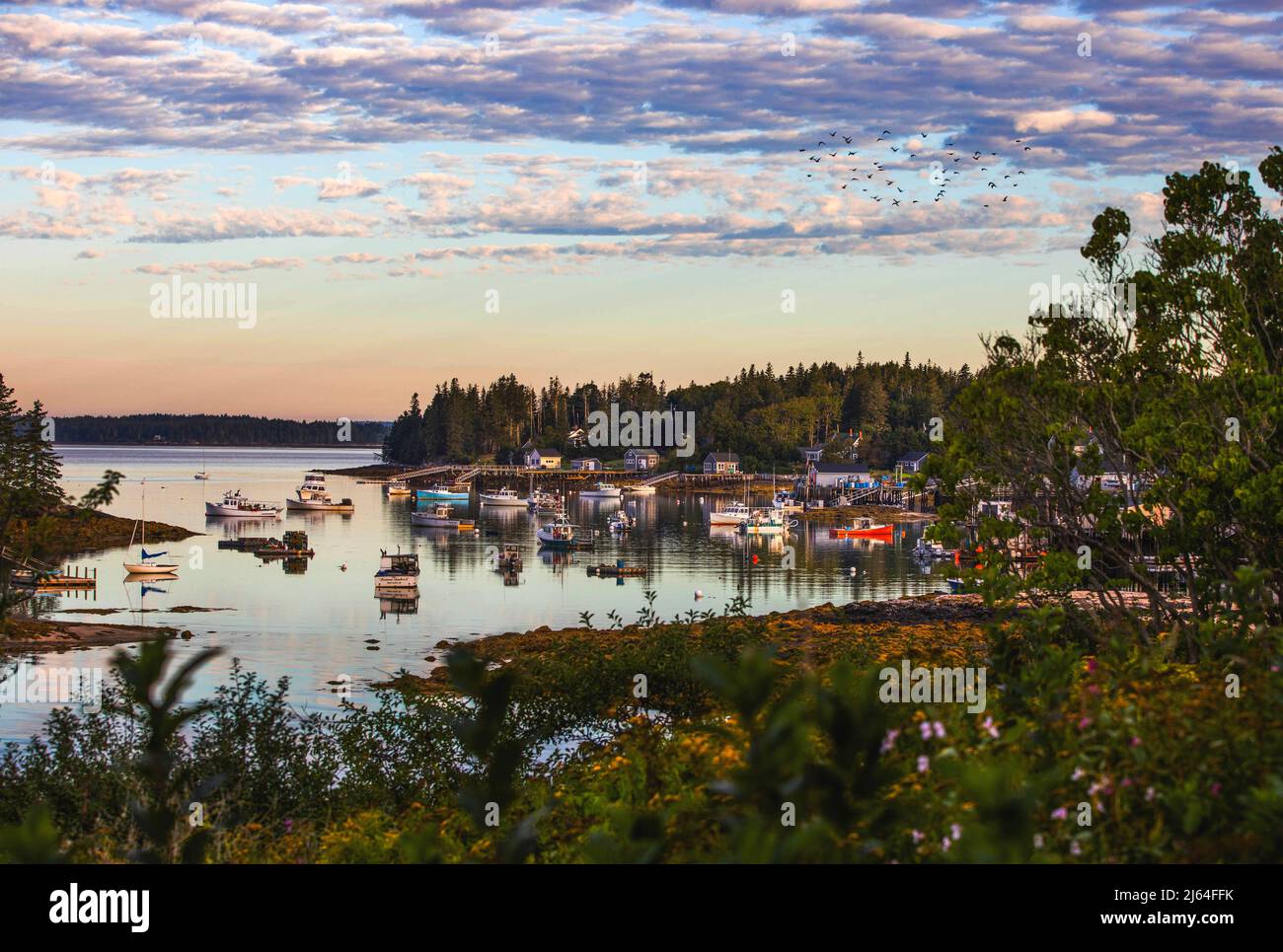 Port Clyde Harbor, Maine, at sunrise. Stock Photo