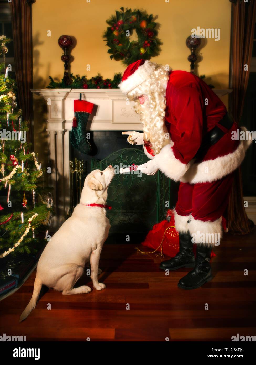 Santa Claus gives the family dog a bone to keep him quiet. Stock Photo