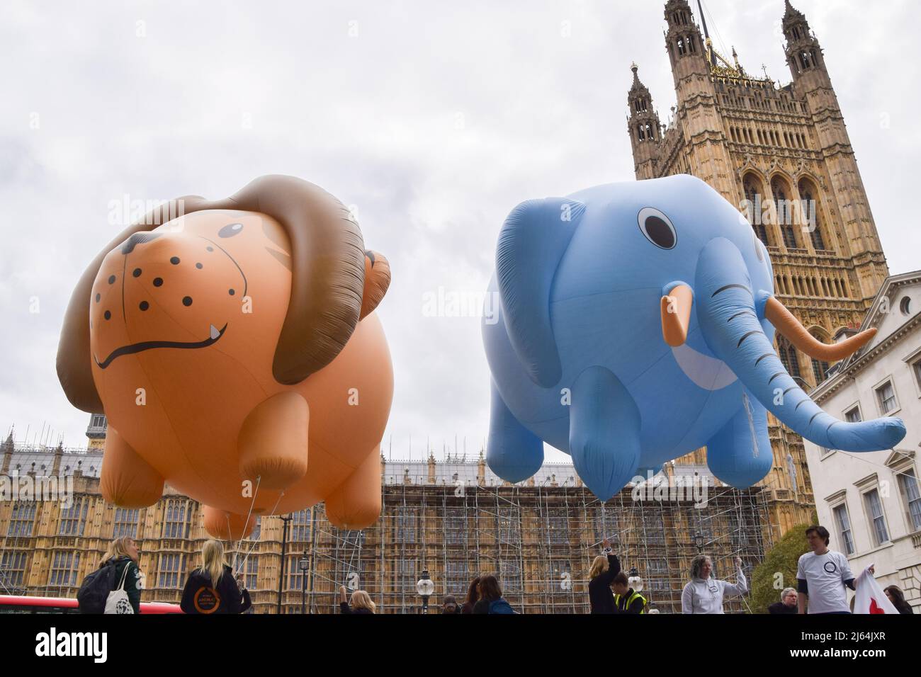 London, England, UK. 27th Apr, 2022. Various animal welfare organizations gathered outside Parliament and flew huge lion and elephant balloons in response to reports that the government will drop the Animals Abroad Bill. The organizations are calling on the government to go through with their promise to ban the import of hunting 'trophies', fur and foie gras to the UK, and the promotion of tourist elephant rides abroad. (Credit Image: © Vuk Valcic/ZUMA Press Wire) Stock Photo