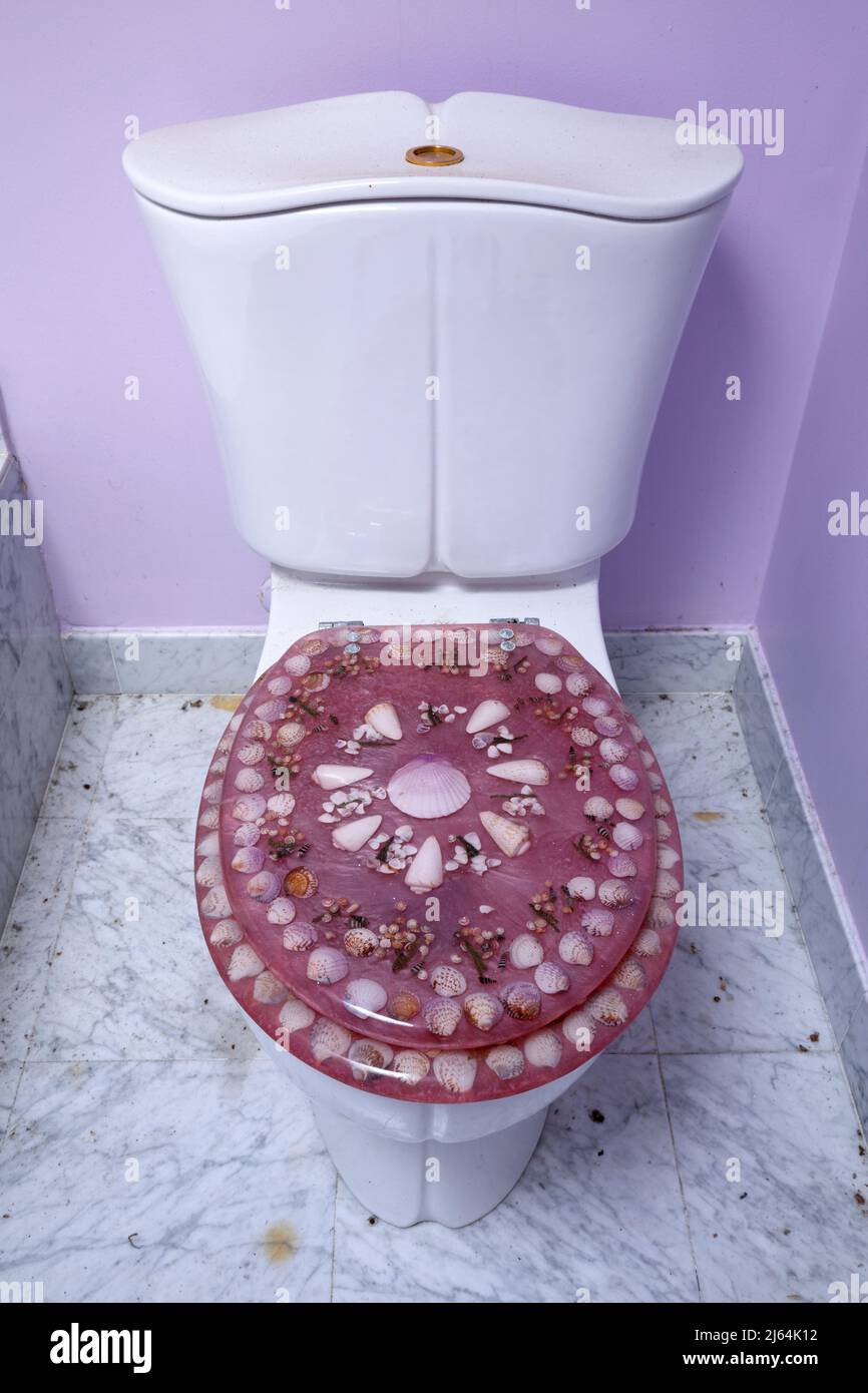 A resin sea shel toilet seat attached to a toilet inside an abandoned house. Stock Photo