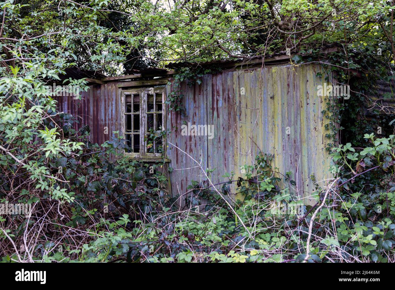 Random Old Shed Old corrugated Shed Stock Photo - Alamy