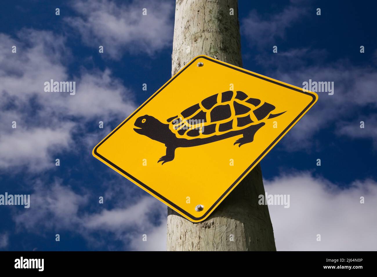 Yellow and black turtle crossing pictogram sign on a telephone pole. Stock Photo