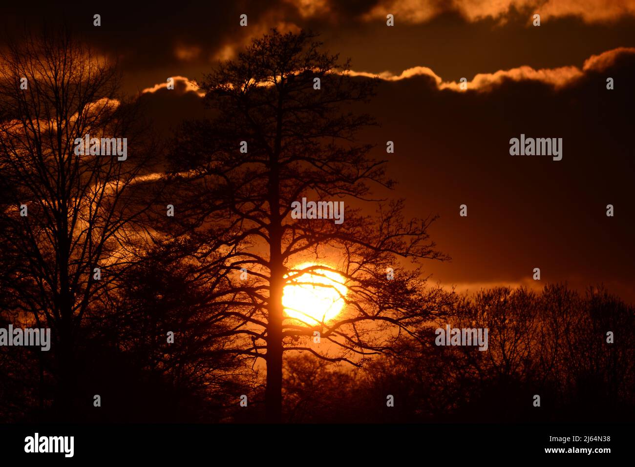 Beautyful dramatic sunset with trees in the foreground Stock Photo