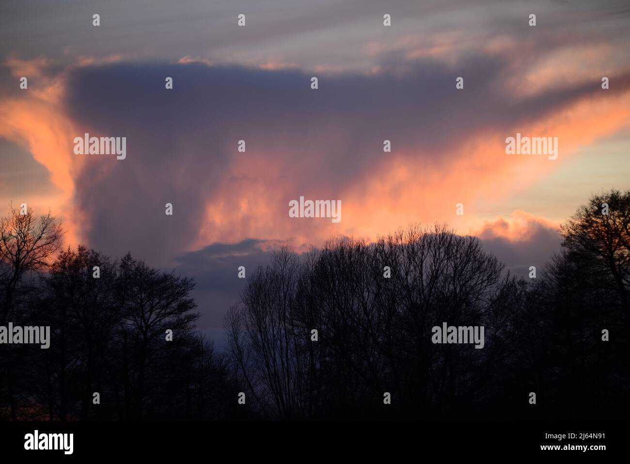 Beautyful dramatic sunset with trees in the foreground Stock Photo