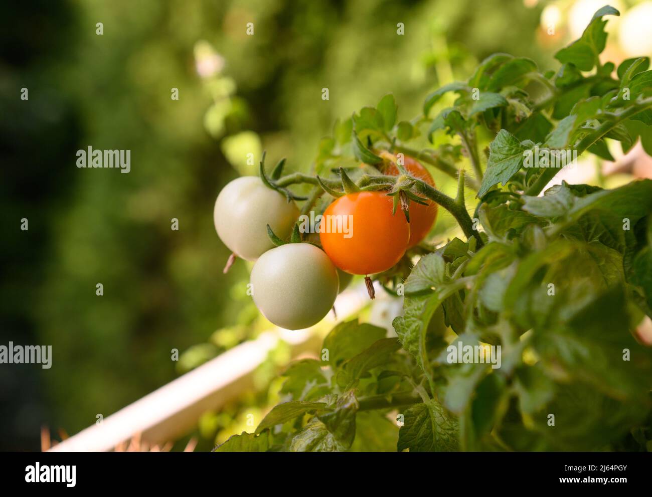 The sixth floor window hires stock photography and images Alamy