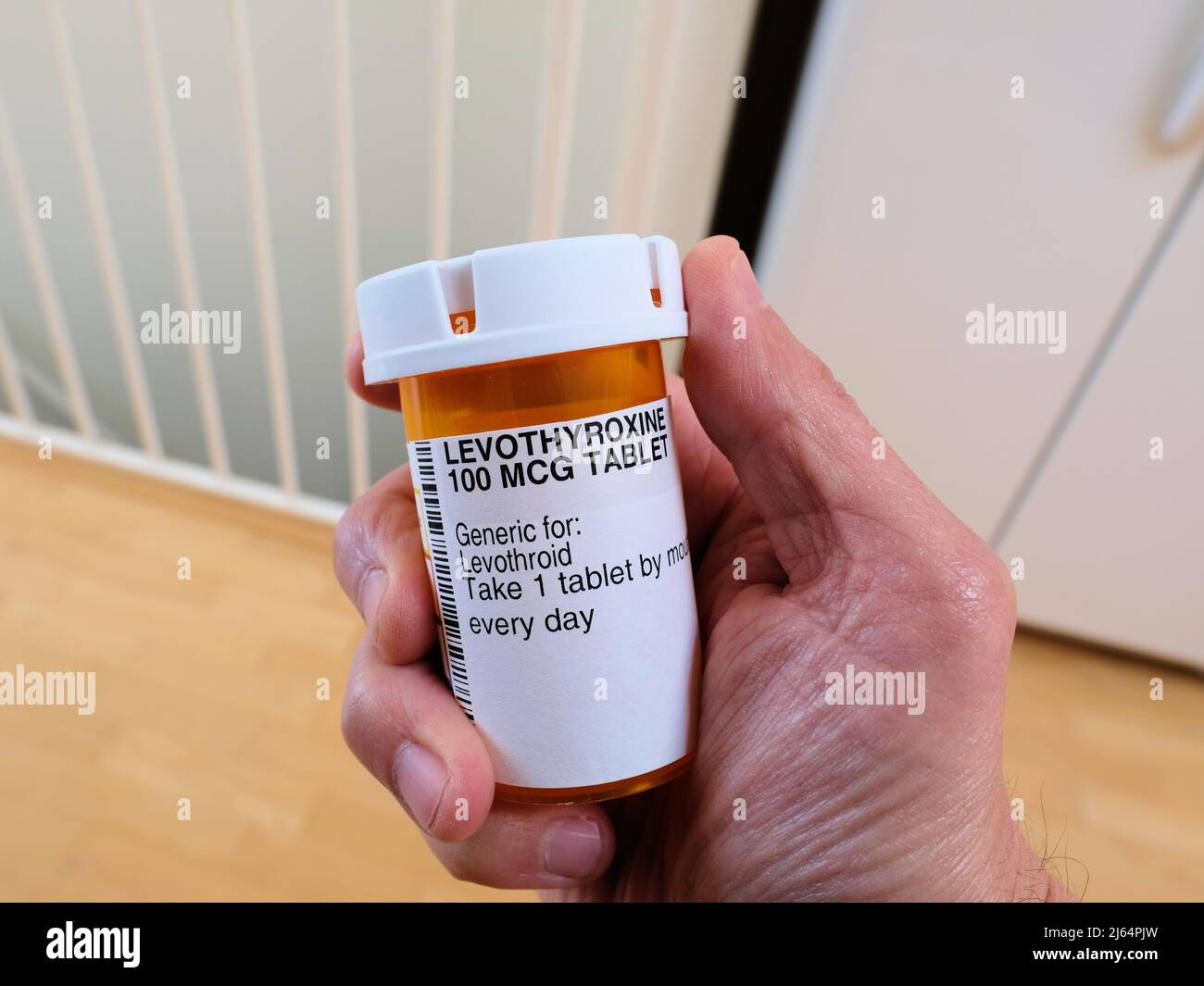 Man's hand holding a prescription pill bottle of Levothyroxine, a synthetic form of the thyroid hormone thyroxine to treat an underactive thyroid. Stock Photo