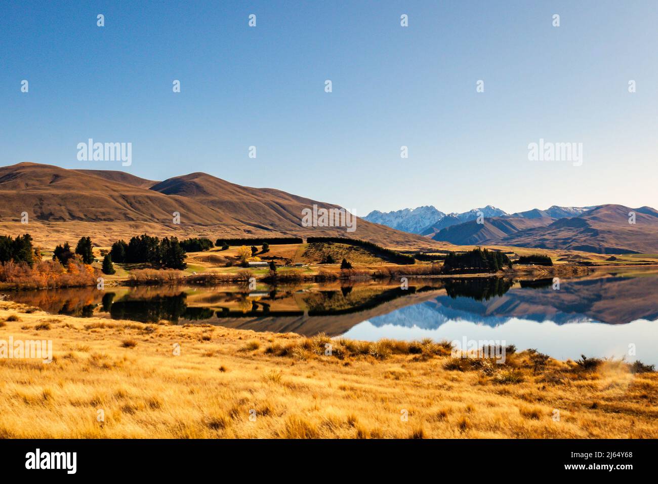 Reflections on the very calm Lake Clearwater in the Ashburton Lakes district Stock Photo
